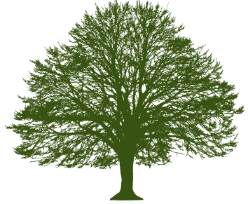 tree service redlands ca