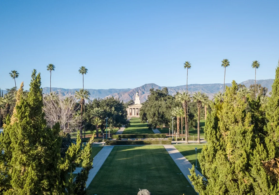 tree service redlands ca